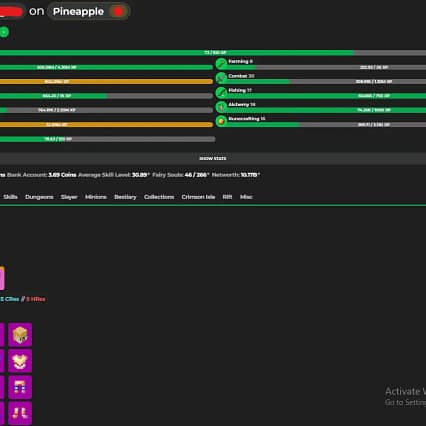 Minecraft MVP+ | 10B NETWORTH